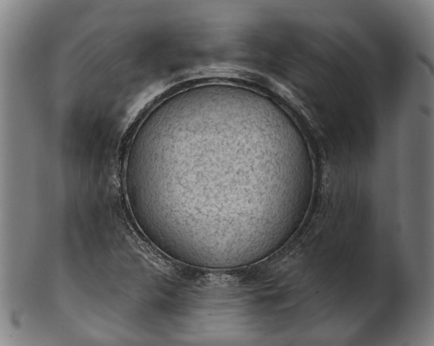 X0000101231312200807111111