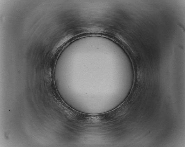 X0000101231315200807111111