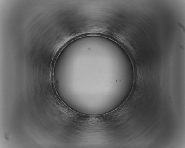 X0000101231316200807111111