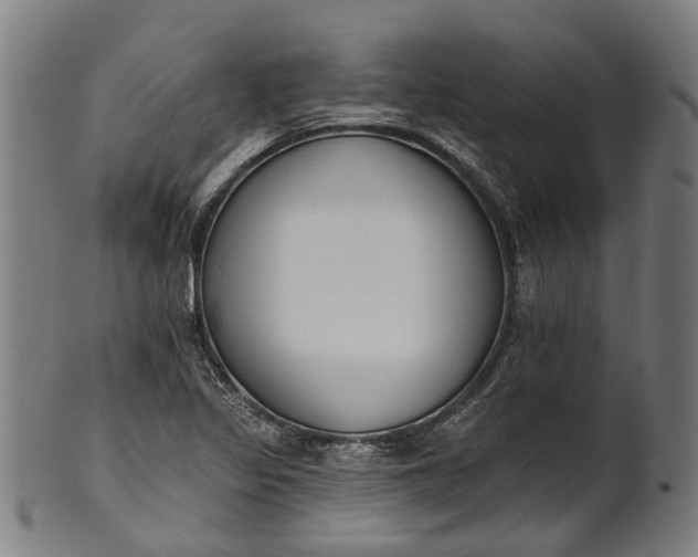 X0000101231317200807111111