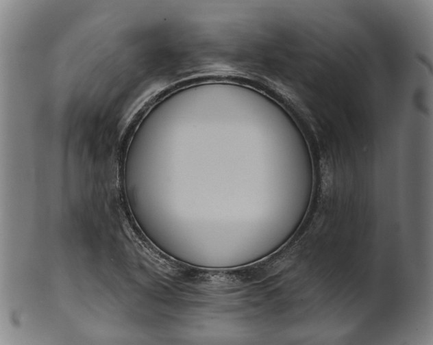 X0000101231318200807111111