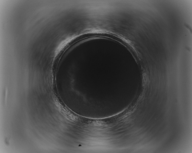 X0000101231319200807111111