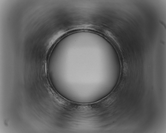 X0000101231320200807111111