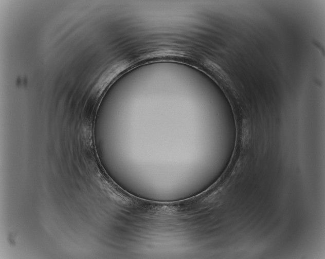 X0000101231321200807111111