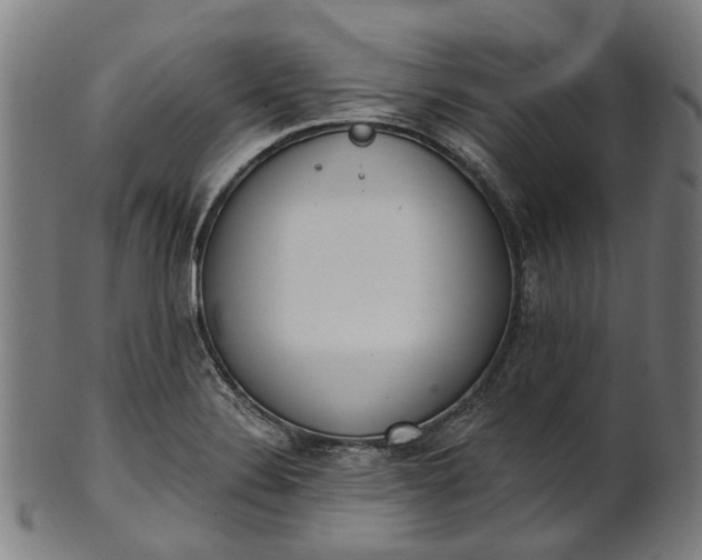 X0000101231324200807111111