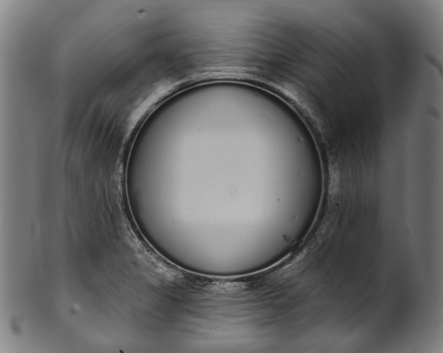 X0000101231325200807111111