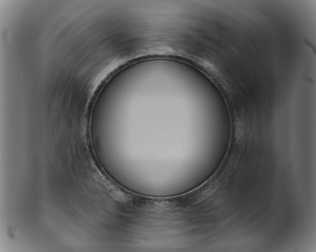 X0000101231326200807111111