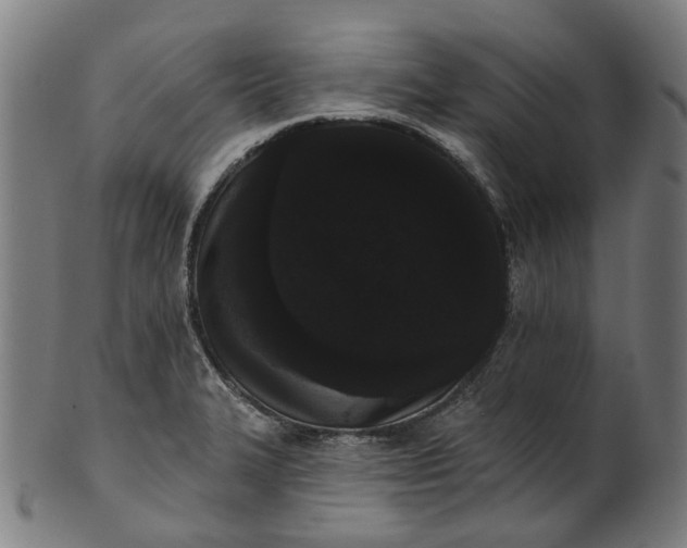 X0000101231327200807111111