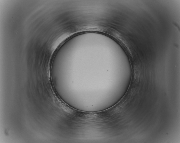 X0000101231328200807111111