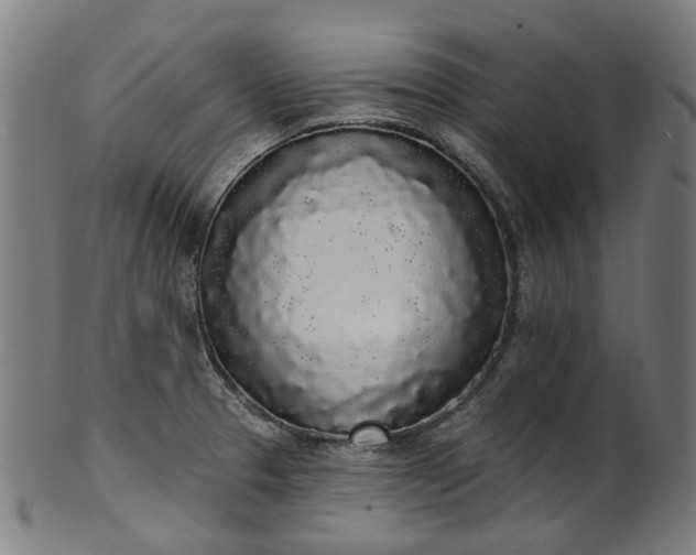 X0000101231329200807111111