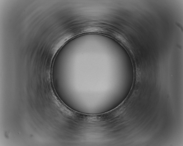 X0000101231330200807111111