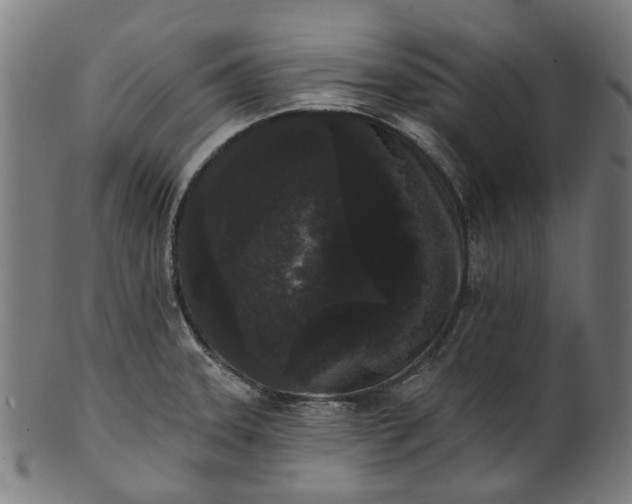 X0000101231331200807111111