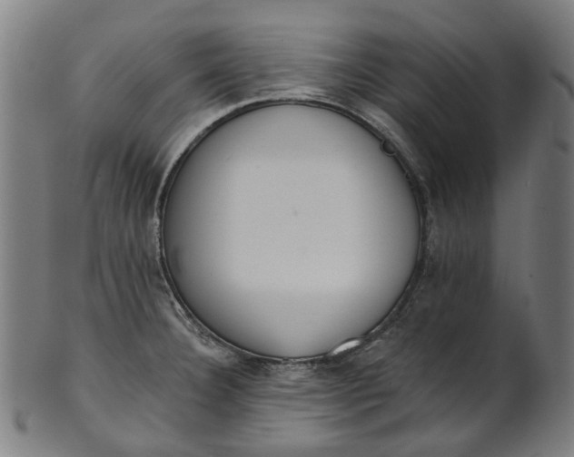 X0000101231332200807111111