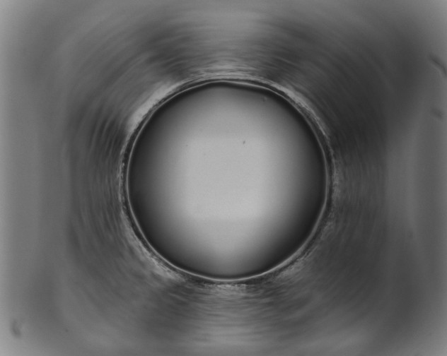 X0000101231333200807111111