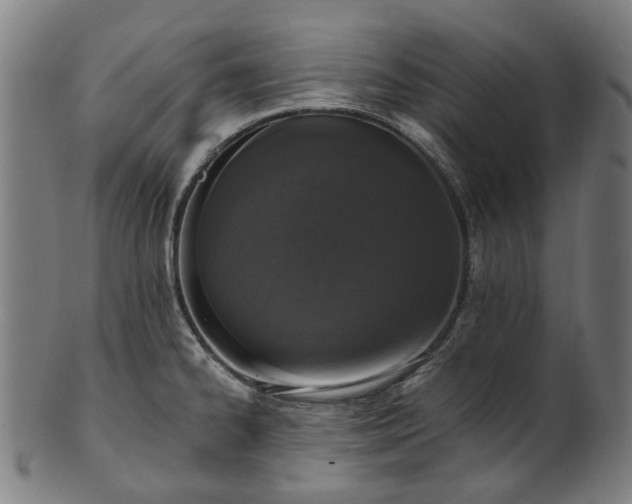 X0000101231334200807111111