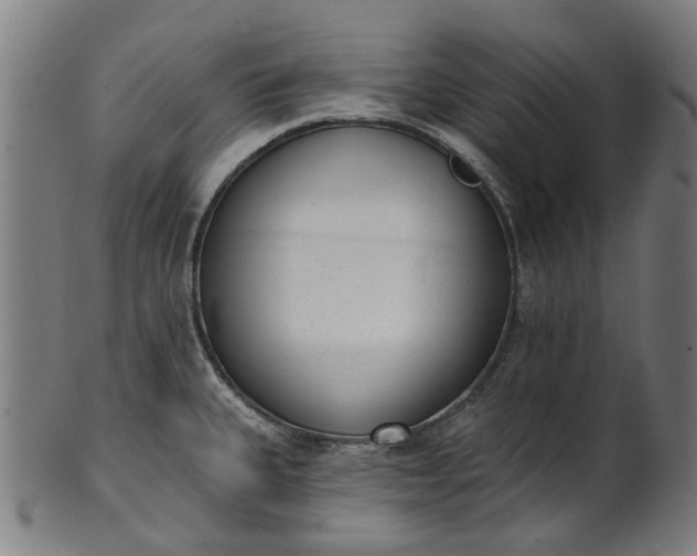 X0000101231335200807111111