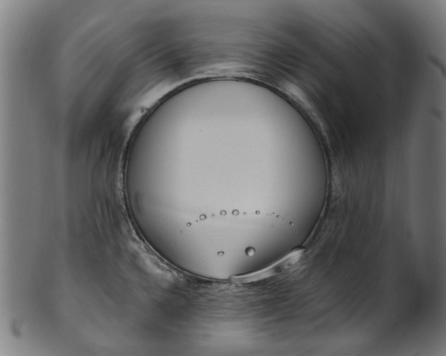 X0000101231336200807111111