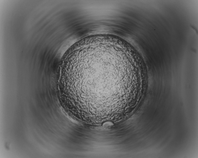 X0000101231337200807111111