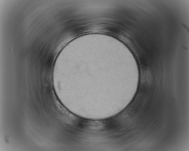 X0000101231338200807111111