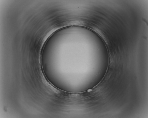 X0000101231339200807111111