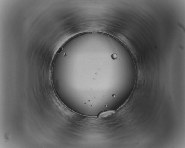 X0000101231340200807111111