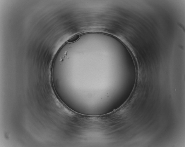 X0000101231341200807111111