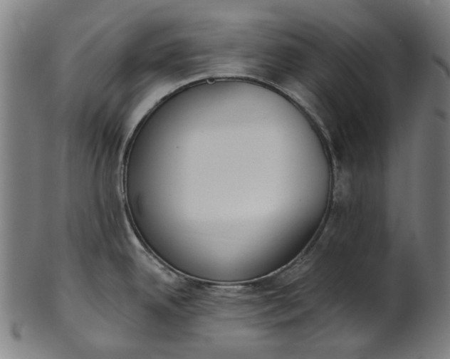 X0000101231342200807111111