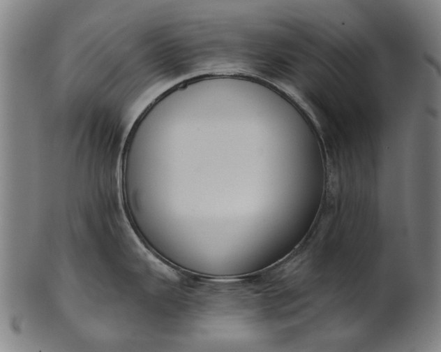 X0000101231343200807111111