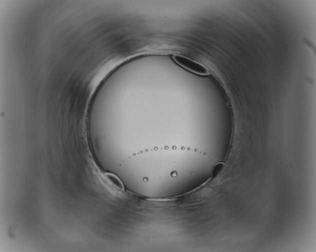 X0000101231344200807111111