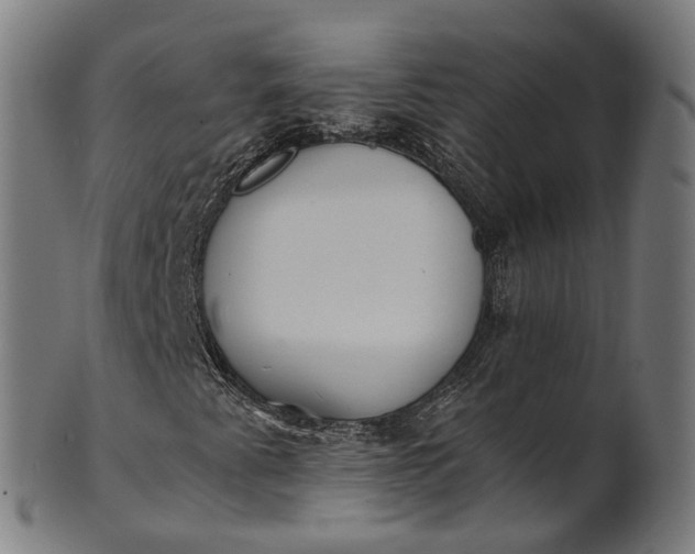 X0000101231345200807111110