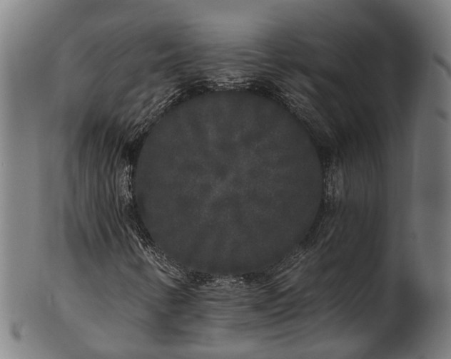 X0000101231346200807111110