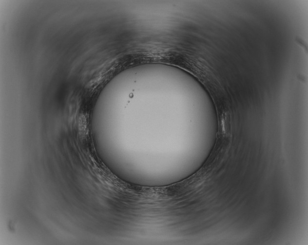 X0000101231347200807111110