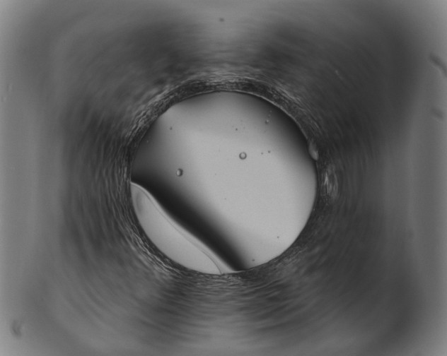 X0000101231348200807111110