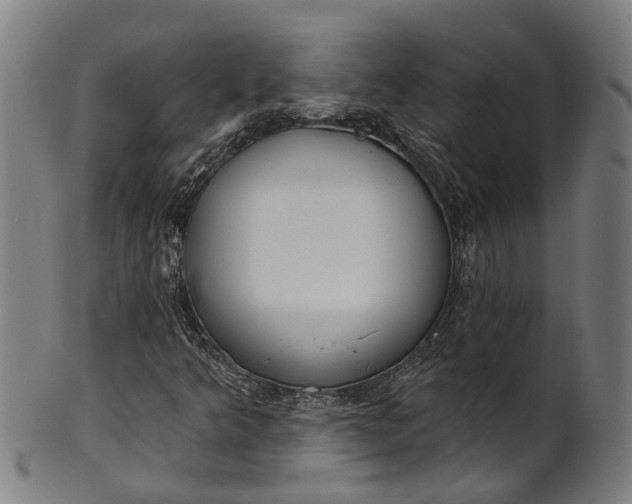 X0000101231349200807111110