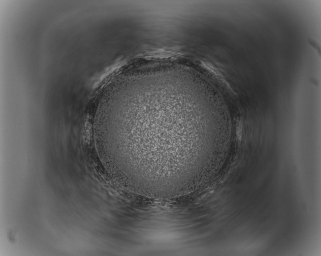 X0000101231350200807111110