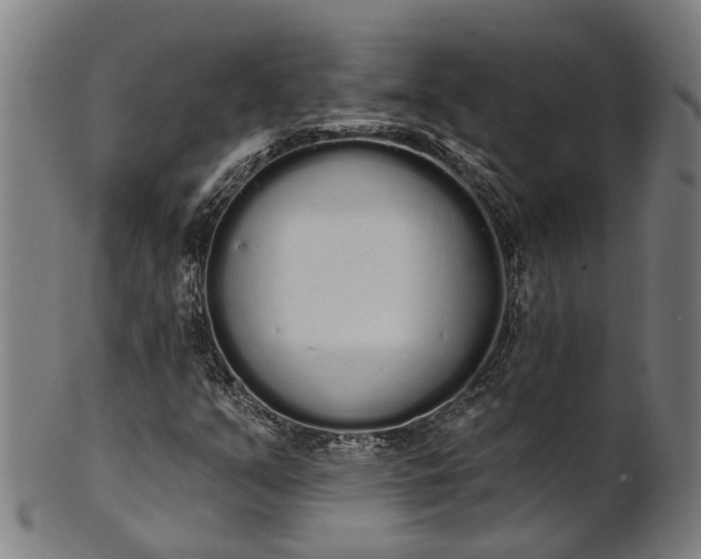 X0000101231351200807111110