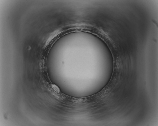 X0000101231352200807111110