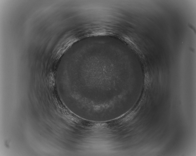 X0000101231353200807111110