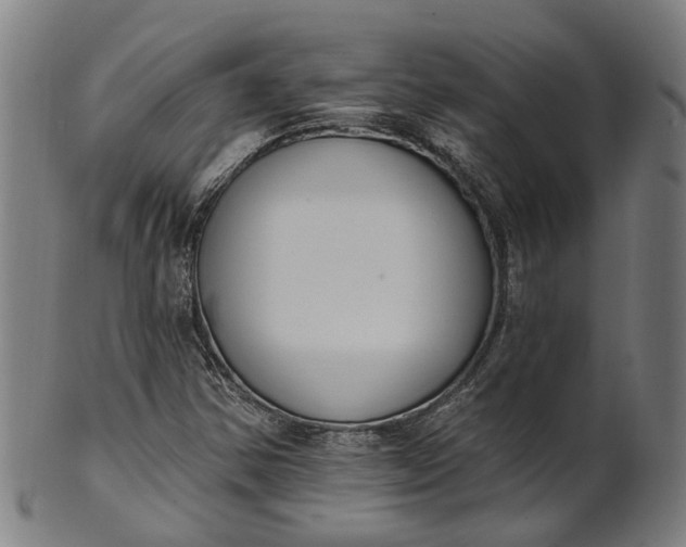 X0000101231354200807111110