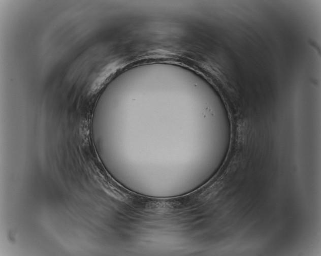 X0000101231355200807111110