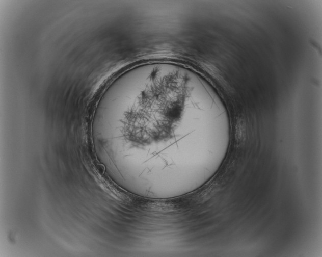 X0000101231356200807111110