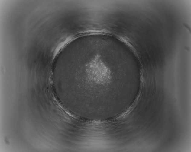 X0000101231357200807111110