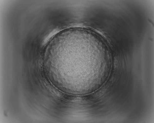 X0000101231359200807111110