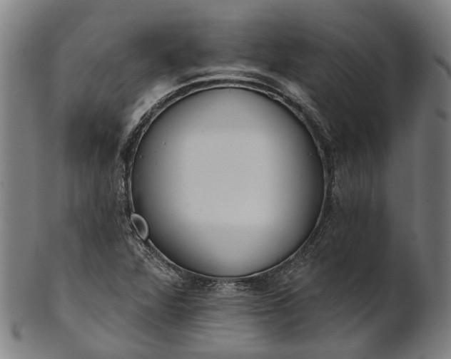 X0000101231360200807111110