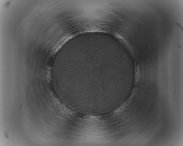 X0000101231361200807111110