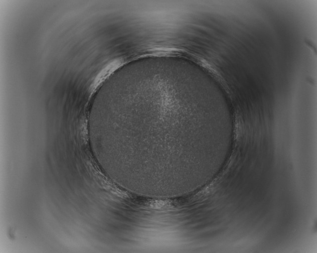 X0000101231362200807111110