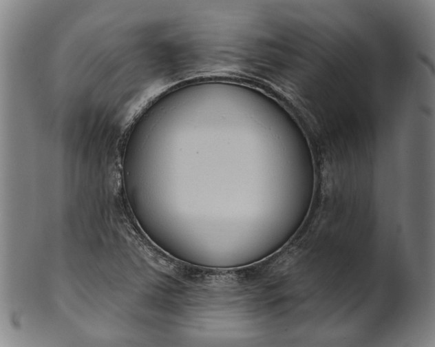 X0000101231363200807111110