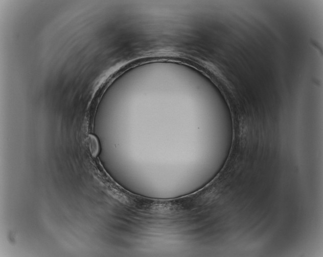 X0000101231364200807111110