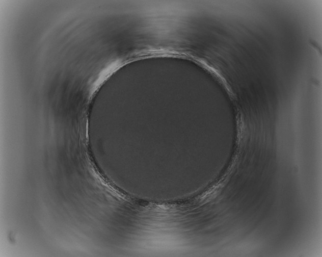 X0000101231365200807111110