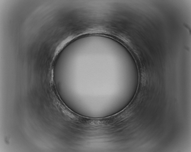 X0000101231366200807111110